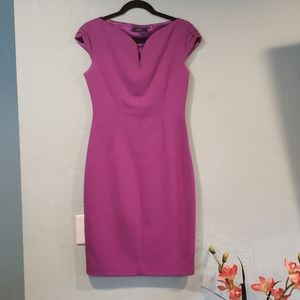TAHARI professional and classy dress size 6